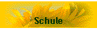 Schule